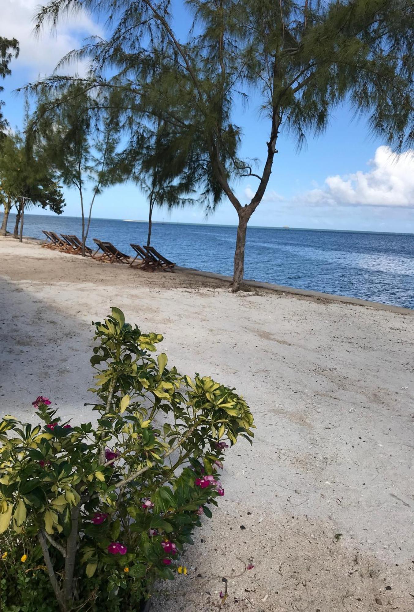 Hotel Bon Vivant Front De Mer - Ile Rodrigues Port Mathurin Zewnętrze zdjęcie